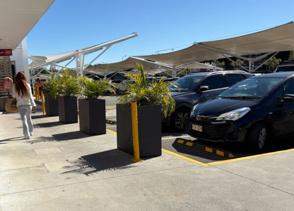 Commercial parking area with long dark grey rectangular planters holding tropical plants and safety bollards.