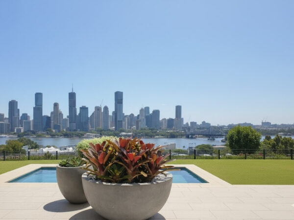 Vibrant Bromeliads in modern pots overlooking the Brisbane skyline.