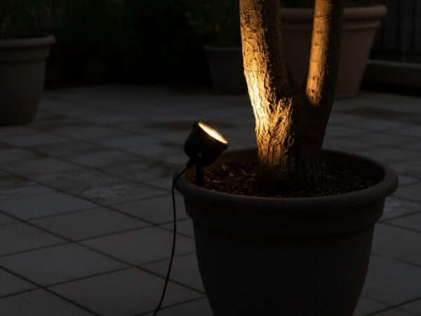 Spotlight grazing the bark of a potted plant to highlight texture.