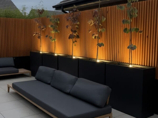 Potted plants illuminated with warm landscape lighting on a patio at night.