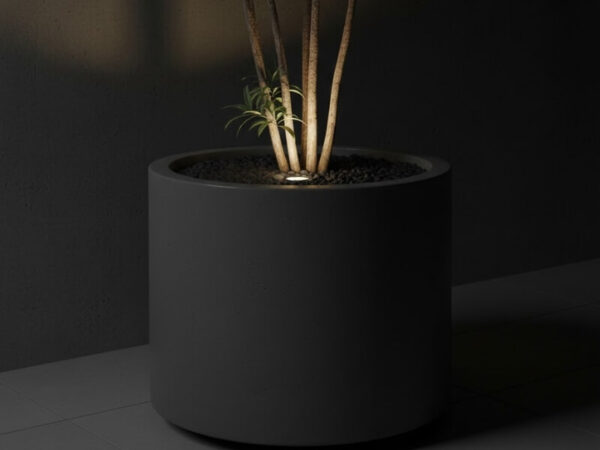 In-pot well light sitting flush with soil inside a planter.