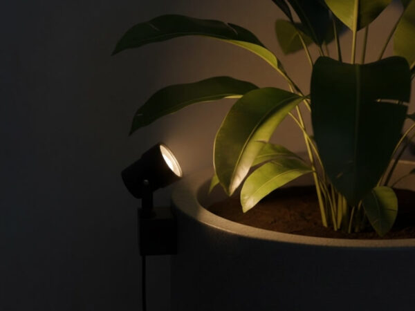 Mini spotlight mounted on a planter rim highlighting plant leaves.