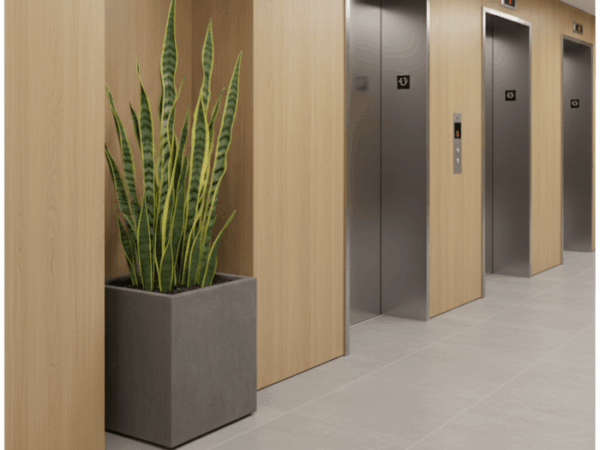 Tall Snake Plant in a grey square planter positioned beside wood-panelled elevator doors in a modern office building.