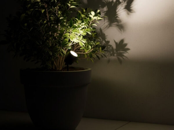 Spike-mounted uplight placed in the soil of a potted plant.