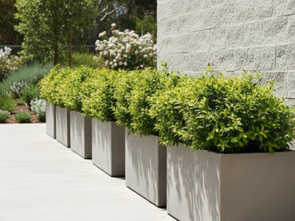 Large planters supporting healthy long-term plant growth