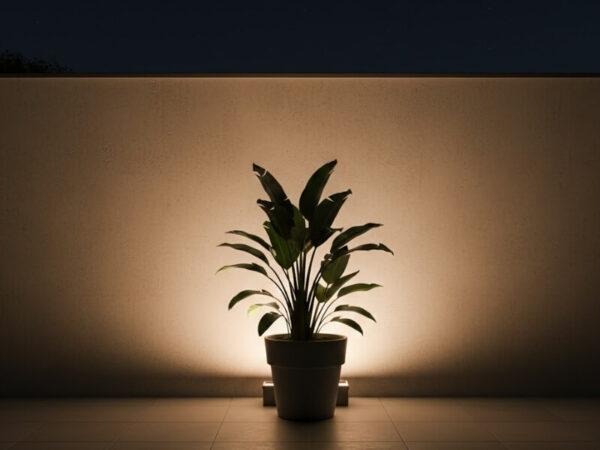 Wide-beam light washing a wall to backlight a potted plant.
