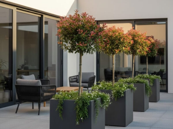 Outdoor seating area featuring extra-large planters