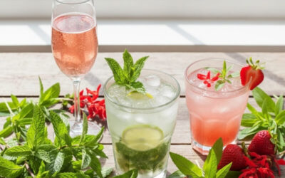 Grow Your Own Cocktail Garden: The “Culinary Cocktail” Pot