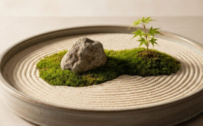 Tsubo-Niwa: The Japanese Art of the Miniature Courtyard Garden