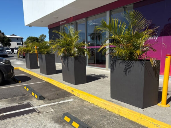 Large rectangular planters used as a protective barrier outside a commercial building.