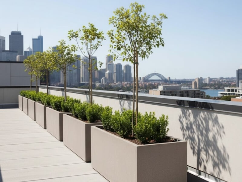 Large rooftop Rectangle Trough planters