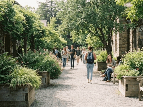 People moving calmly through a green campus pathway.