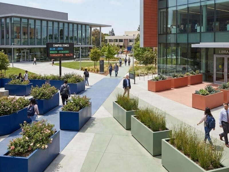Campus zones defined by different coloured planters.
