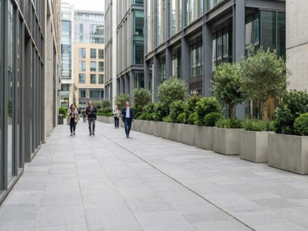 Large planters defining pedestrian movement without signage.