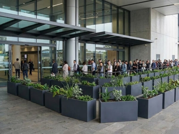 Planter boxes used to organise pedestrian queues at a transport hub.