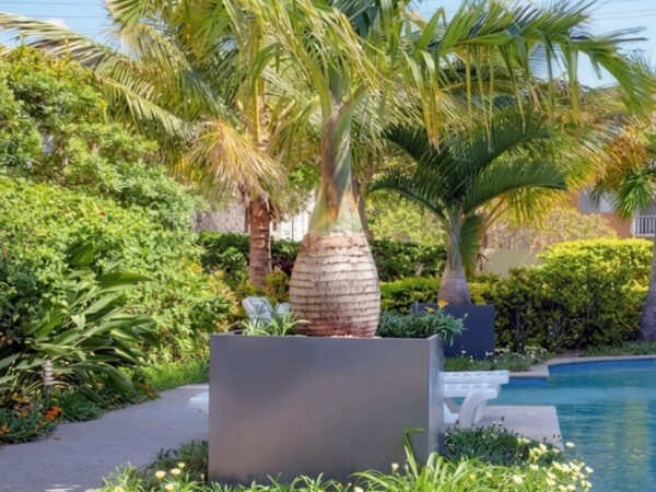 Fibreglass planters resisting weather conditions without damage.