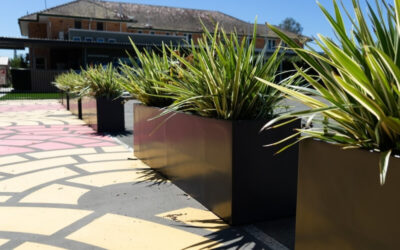 What is Different About Sigma Planters Fibreglass and Lightweight Concrete Planters?