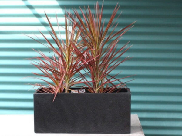 Hero image - terrazzo planter