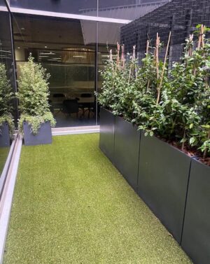 office-courtyard-manhattan-tall-troughs