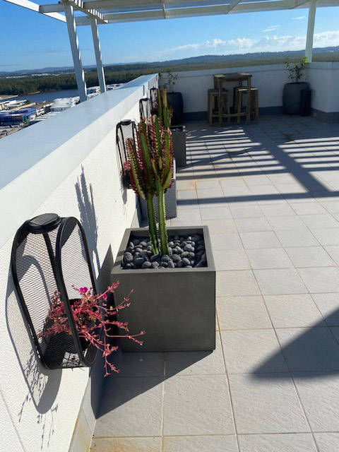 Florence Concrete Cube with Euphorbia on rooftop balcony