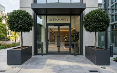 10 Creative Ways to Use Rectangle Pots in Urban Commercial Design