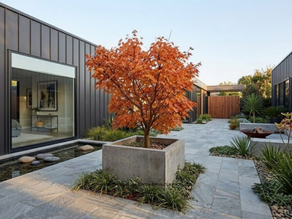 Japanese maple displaying vibrant autumn foliage in a large architectural planter