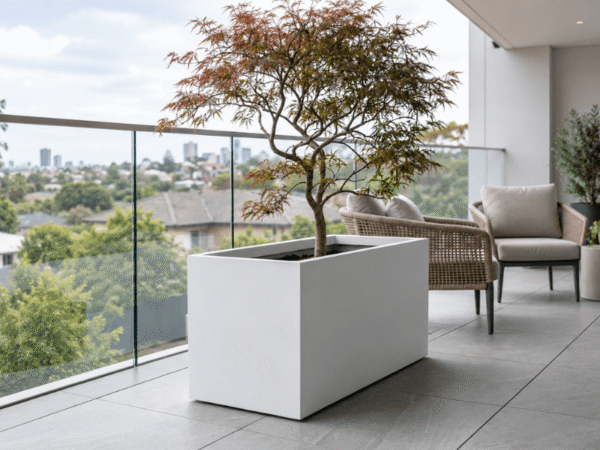 White concrete trough planter box with a Japanese maple tree on a modern residential apartment balcony featuring woven outdoor lounge chairs and a glass balustrade.