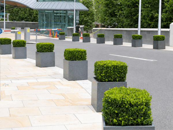 Urban streetscape and security landscaping featuring modular dark square planter boxes with manicured boxwood topiary.