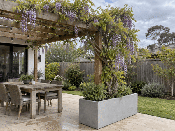 A large, light grey rectangular trough planter containing a mature flowering wisteria vine trained up a wooden pergola post next to an outdoor dining set on a stone patio.