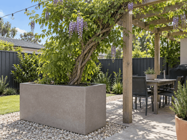 Minimalist grey trough planter box with a flowering wisteria vine on a gravel-bordered outdoor patio.