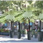 Outdoor Cafes — More Charming When Green and with Granite Planters