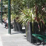 Considerations When Selecting Plants for Public Spaces