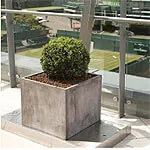 Centre Court Redevelopment Features Venice Cube Planters