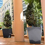 Landscaping with Granite Pots in Brisbane at Admiralty Tower One