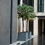 Grosvenor House Apartments, London – Residential Modern Planters