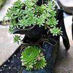 How to Make Your Container Garden Stand Out