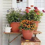 Tips for Container Gardeners