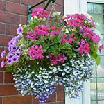 Planter Ideas to Create a Peaceful Natural Sanctuary