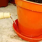 The Pitfalls of Plant Drip Trays: A Closer Look