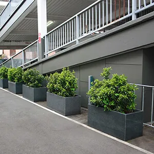 Greening a parking lot with IOTA Granite planters