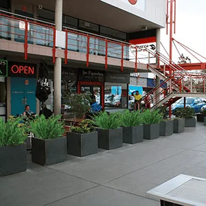 Container Planting Helps Green the Greenway Supa Centre