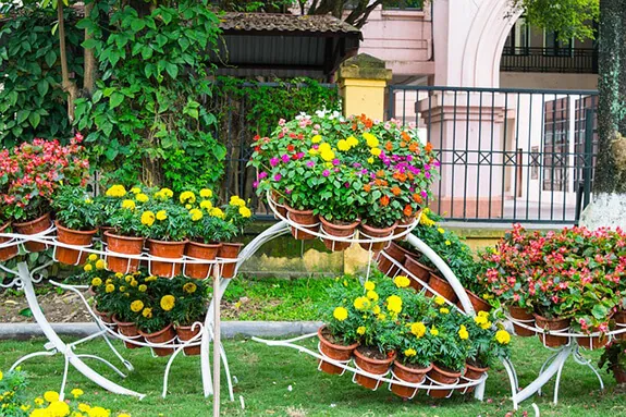 arrange-potted-plants landscape design ideas