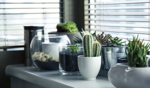 container garden with limited space