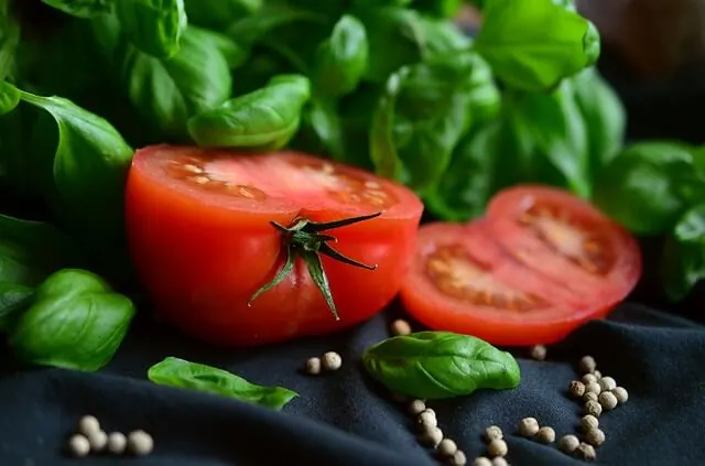 tomato-companion-planting