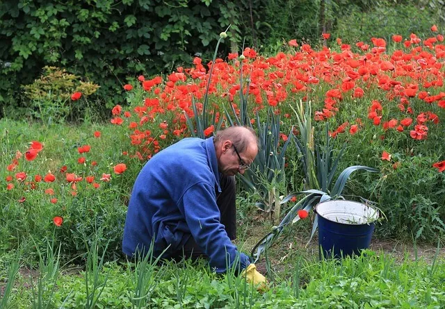 weed-control