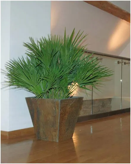 interiors using planters