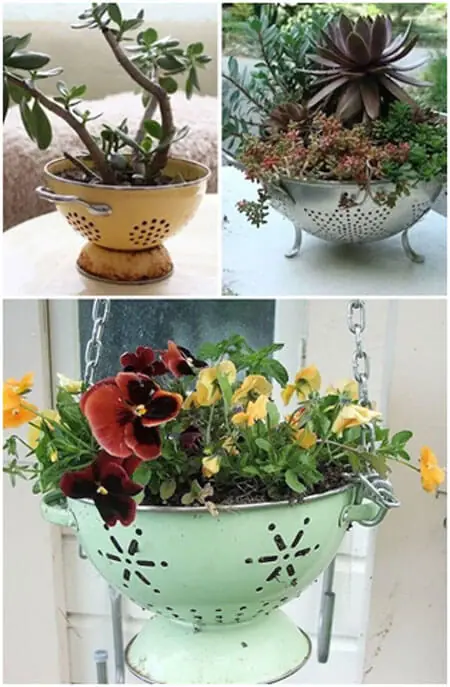 Colander-Planters