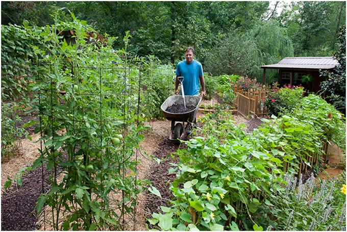 Image Credit: https://bonnieplants.com/library/feeding-the-soil-feeds-your-plants/