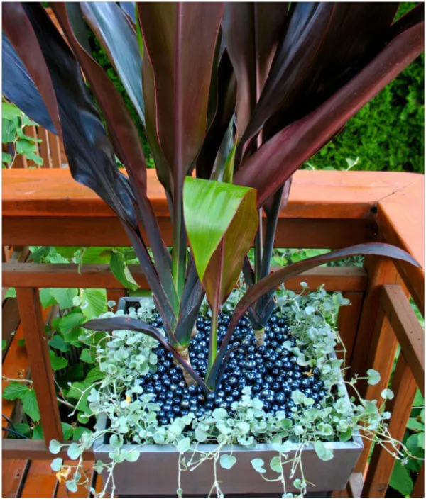 Jewelled-Planter