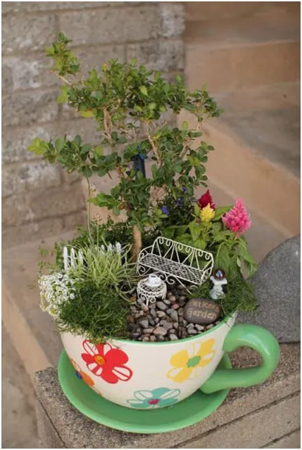 Mini-Garden-in-a-Container